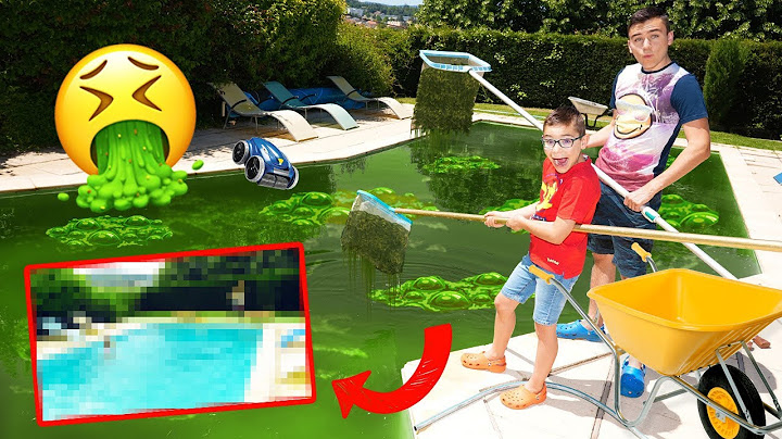 NE JAMAIS TROP ATTENDRE POUR NETTOYER LA PISCINE !!! 🤢