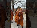 Monks' 'Walk for Peace' draws huge crowd to Raleigh's Dix Park