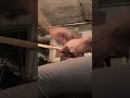#DrummerLife #Groove #DrumGroove #DrumChops #DrumCam #PracticeSession #Trending #Viral #FYP #ForYou