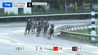Vidéo de la course PMU MILLIONS FILLY AND MARE TURF PREVIEW STAKES