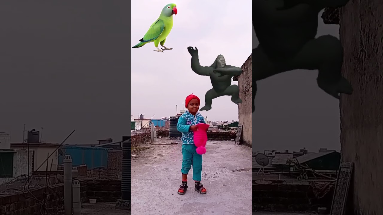 Flying crying babies Catching vs danching gorilla,, cute bhabhi,, parrot,, good day funny video 😃
