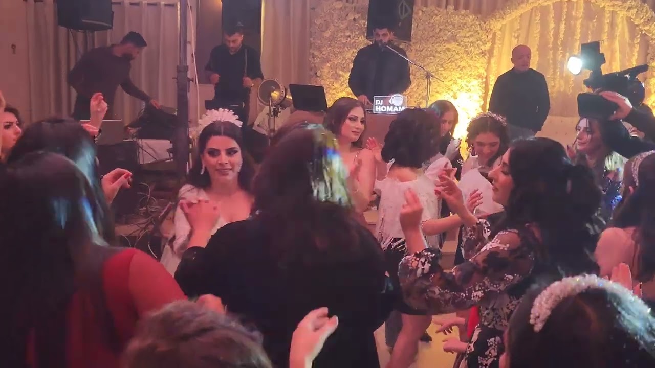 طقي يا حبات التوت وفيق حبيب مع دي جي همام حداد