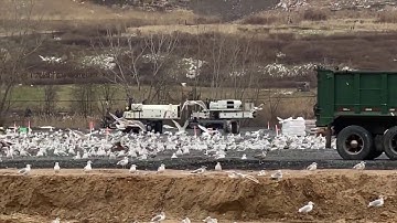 Seagull Control Mega Blaster Pro Unit