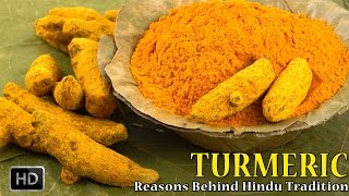 Why is turmeric considered holy in india and what are its uses?
turmeric, or haldi, a very important ingredient indian cuisine, also
known for pote...