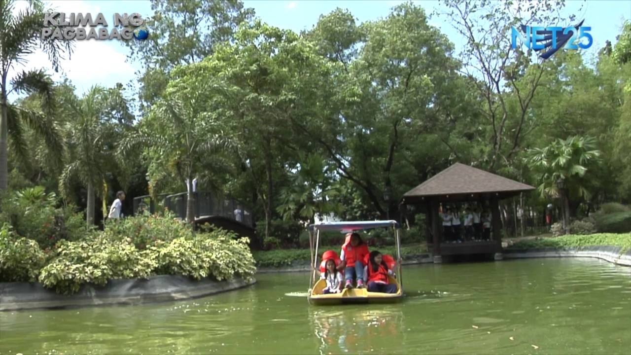 Las PiñasParañaque Critical Habitat and Ecotourism Area YouTube