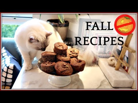 FALL RECIPES | NO PSL