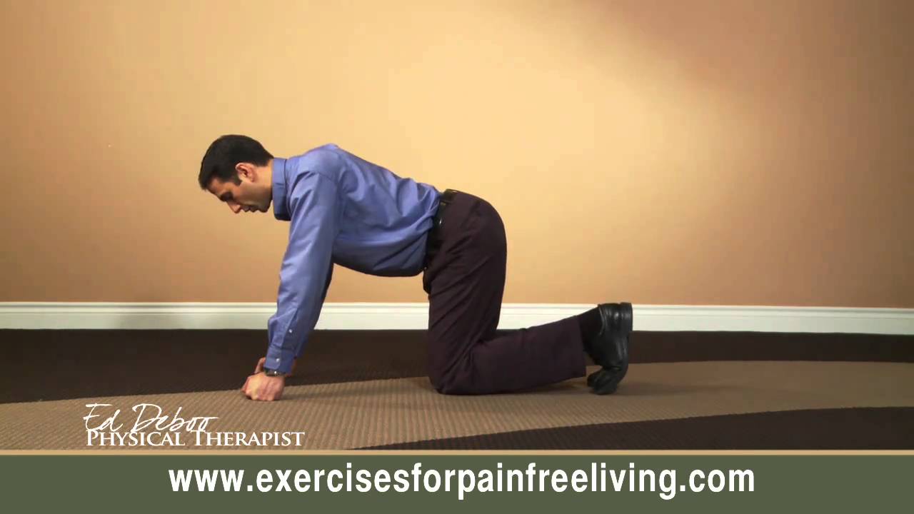 back strengthening exercise YouTube