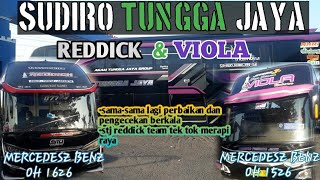 STJ'REDDICK077'&'VIOLA015'||team tek tok merapi raya dan reguler🔥🔥beda karoseri tetap ganteng😱😱