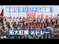 拓大紅陵 オリジナル応援の多彩さは千葉ナンバーワン~(高校野球2017千葉大会袖ヶ浦球場編)
