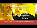 Домашняя группа - Очищение ради роста. Часть 2 - 22.05.2017