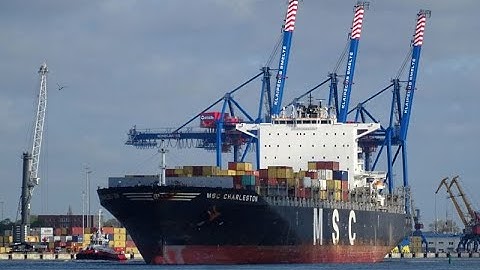 MSC CHARLESTON - IMO 9299537