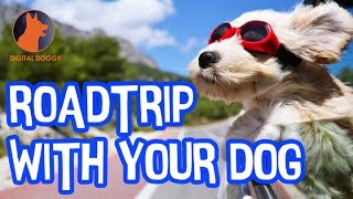 How to Road Trip with Your Dog by Digital Doggy 1,493 views 7 years ago 2 minutes, 20 seconds