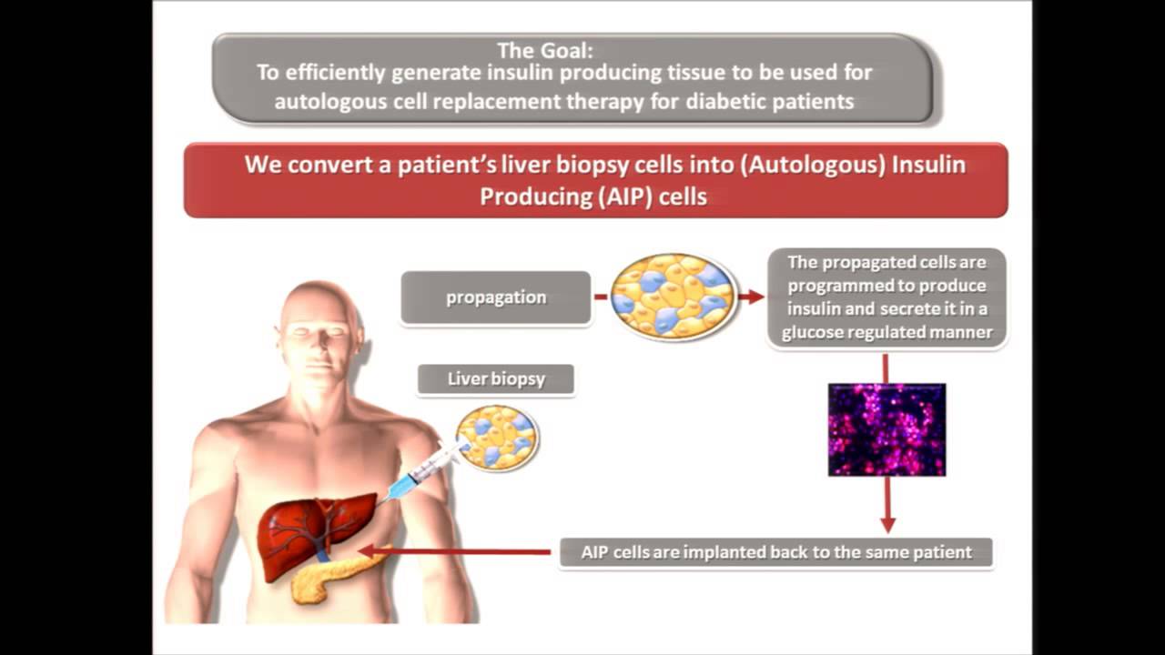 WSCS 2013: THE PROMISE OF DIRECT REPROGRAMMING OF STEM CELLS