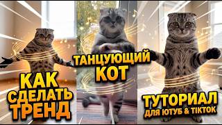 Танцующий кот — пошаговый гайд для новичков screenshot 5