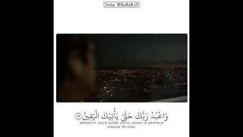 قرآن كريم بصوت هزاع البلوشي   ⚡ أجمل حالات واتس اب480P