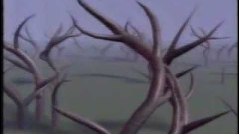 Computer Graphics: 15 seconds. 15 years.