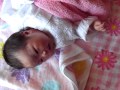 かわいい　赤ちゃんとワンちゃんの初対面！