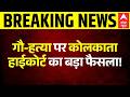 HC on Cow Slaughter on Bakrid: हाईकोर्ट की टिप्पणी से बंगाल में मची खलबली! | West Bengal