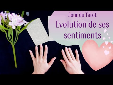 EVOLUTION DE SES