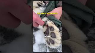 I Couldnt Even Imagine What Was Waiting For Me There