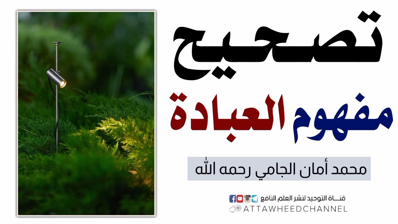 تصحيح مفهوم العبادة _ محمد أمان الجامي رحمه الله