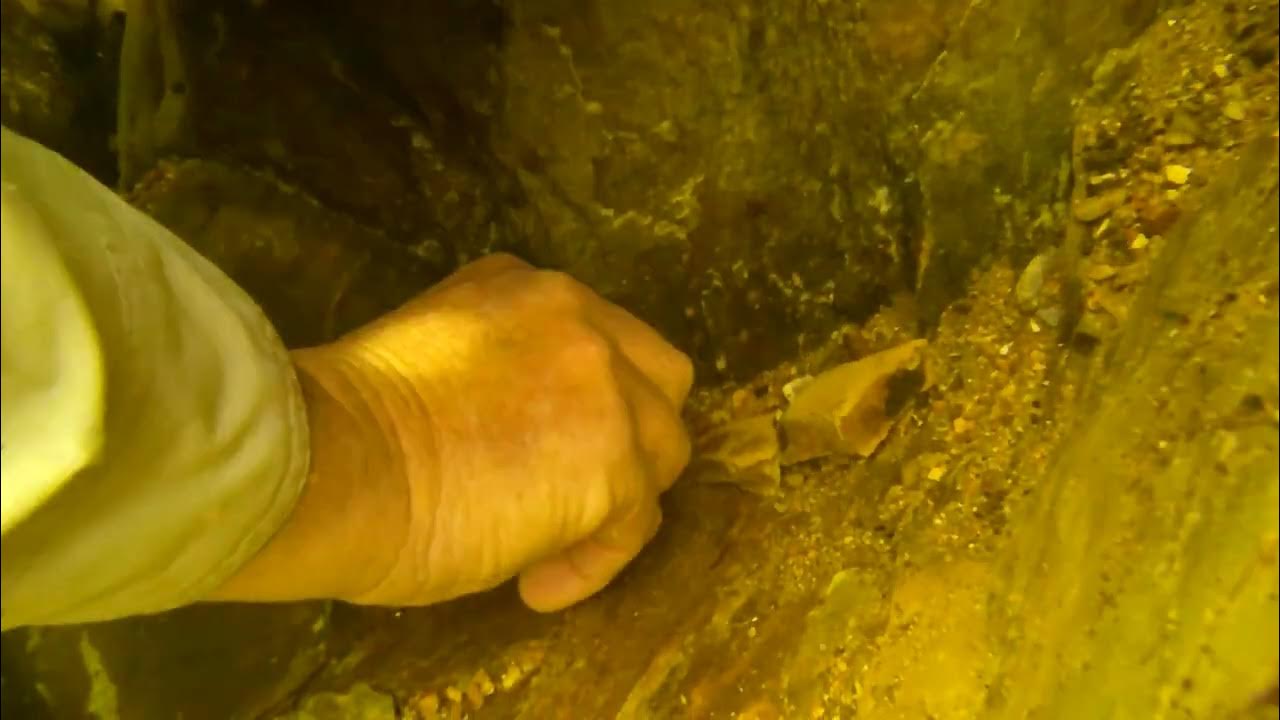 39 Gold nuggets in one day YouTube