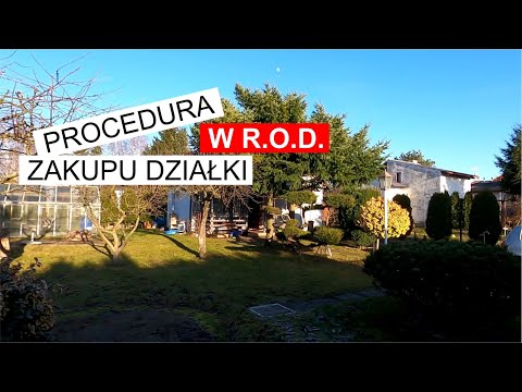 Jak kupić działkę w ROD? Wysiew na domowym parapecie