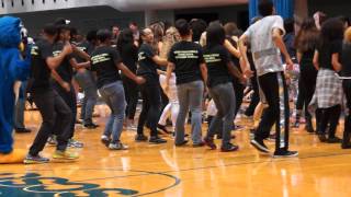 Otus The Owl Dancing At Pep Rally