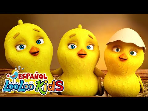 🐤🐥Los Pollitos Dicen