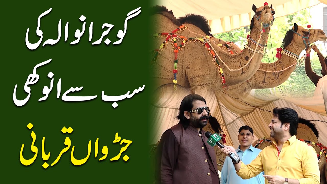 Gujranwala ki sab se anokhi jurrwa qurbani