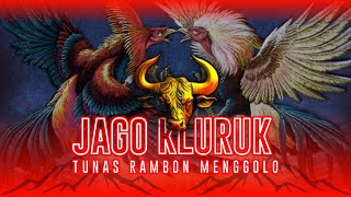 JINGLE BANTENGAN 'JAGO KLUROK' TUNAS RAMBON MENGGOLO!!!!