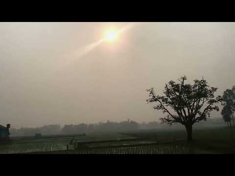 The Beauty Of Bangladesh | Bangladeshi Natural Beauty Cinematic Video🥰