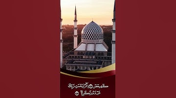 ذِكْرُ رَحْمَتِ رَبِّكَ عَبْدَهُ زَكَرِيَّا #  أجمل التلاوات المرتلة