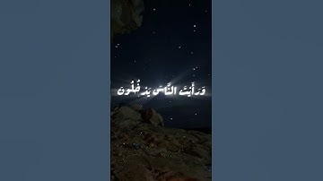 #قران_كريم #سورة_النصر | الشيخ ياسر الدورسي