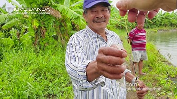 Về Kiên Giang Câu Cá l Bữa Cơm Gia Đình ở Rạch Giá