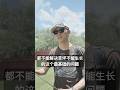 “草坪死成这样，还能救吗？”