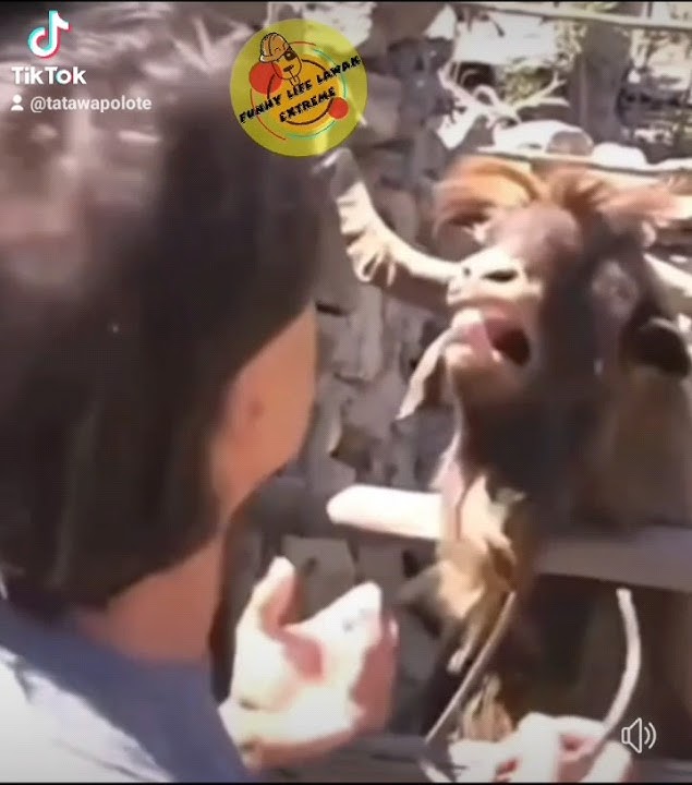 Janji Pilkada  #pemilu #caleg #pilpres #gemoy #capres #pilpres2024 #gerindra #gibran #ganjar #anies