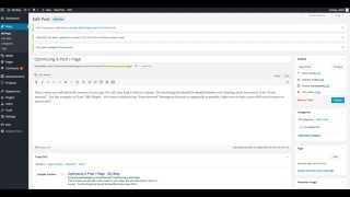 On Page Optimization Tutorial For Wordpress SEO