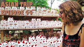Japan Vlogs - Episode 19 : Gotoku-ji, Cat temple, Shimokitazawa, Soup Curry by Frenchy Pepette 1,642 views 5 years ago 8 minutes, 21 seconds