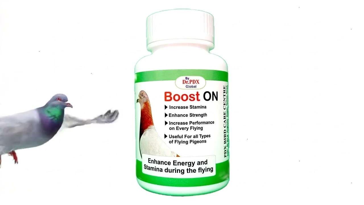 Boost On Pigeon Flying Capsule