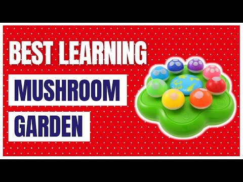 BEST LEARNING Mushroom Garden