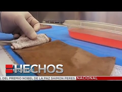 La importancia de