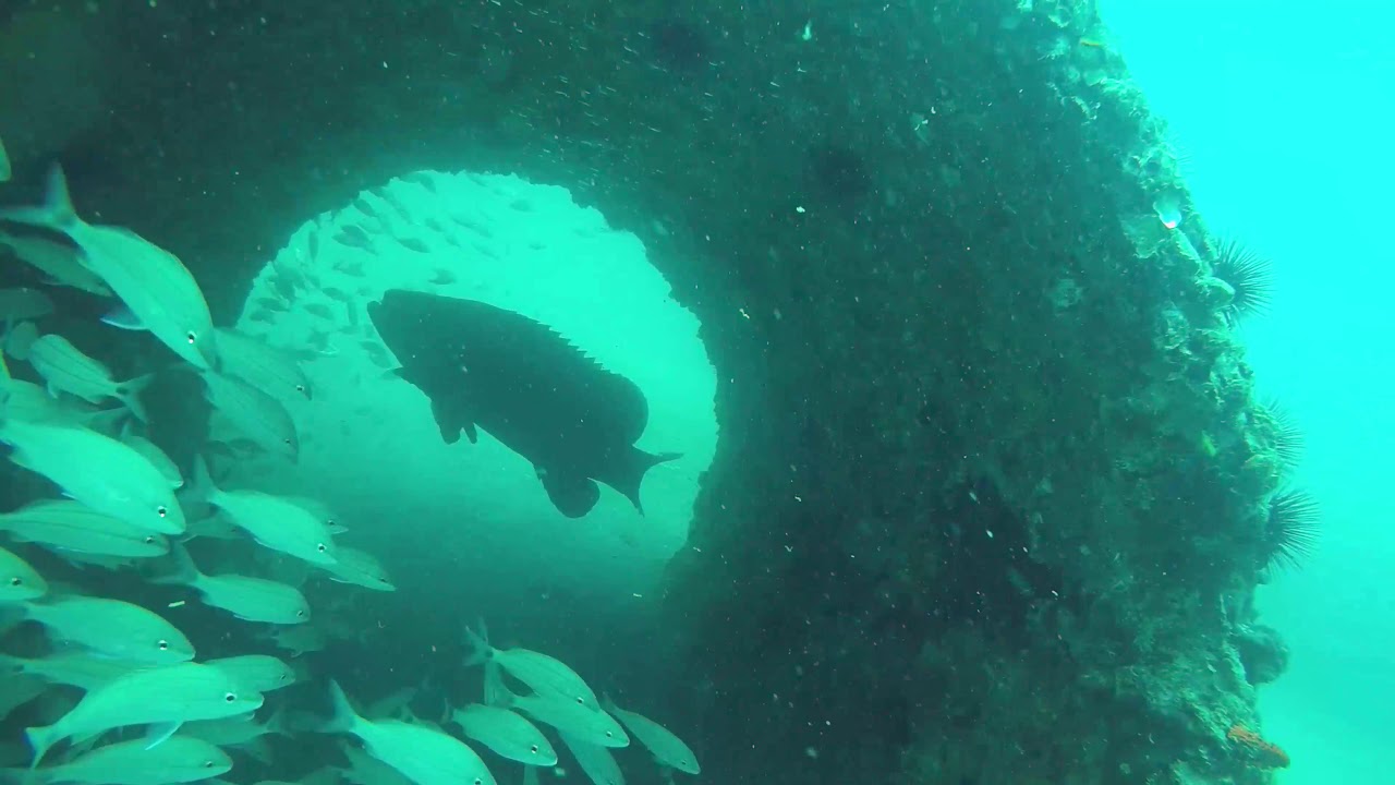 Siesta Key Dive 3 YouTube