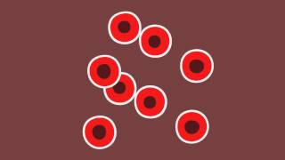 AE - Cells Divide