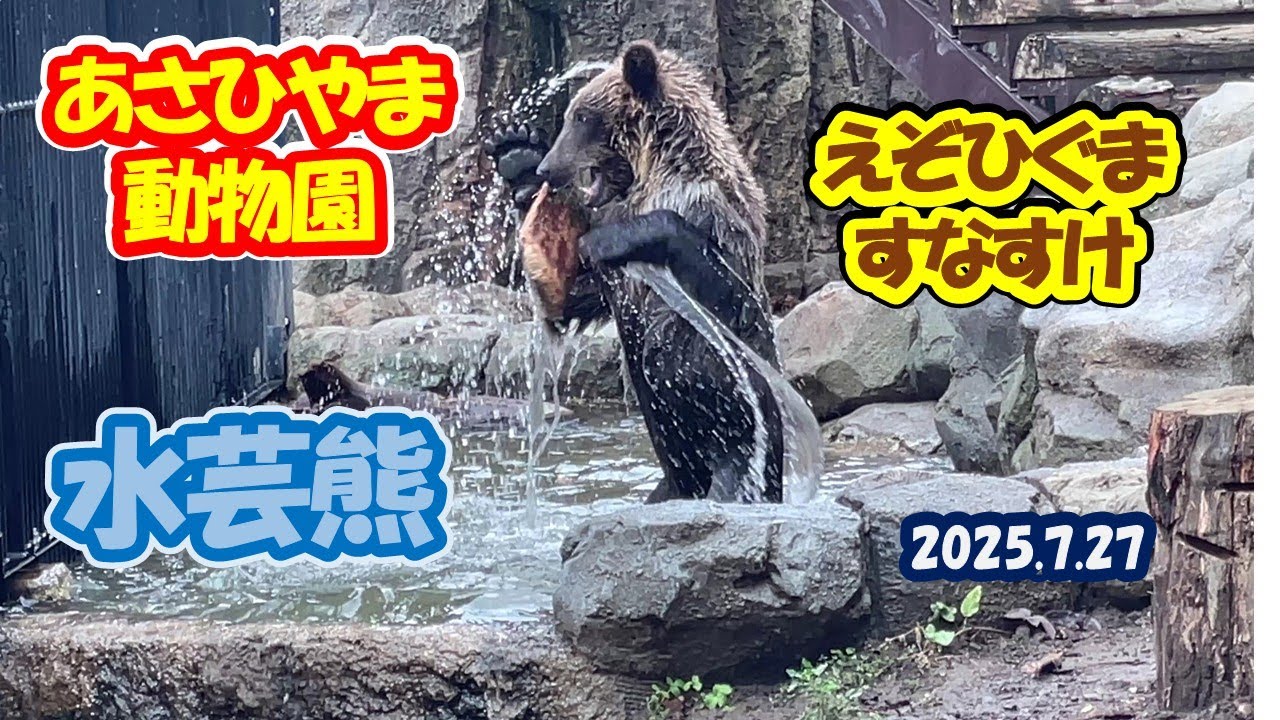 あさひやま動物園　えぞひぐまのすなすけ　2025.7.27