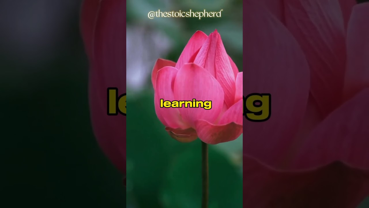 Conquering Adversity: A Prayer for Strength and Guidance