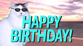 HAPPY BIRTHDAY SONG!  EPIC Cat Happy Birthday