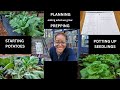What Im Doing NOW For The Spring Garden BEGINNER GARDENER FRIENDLY