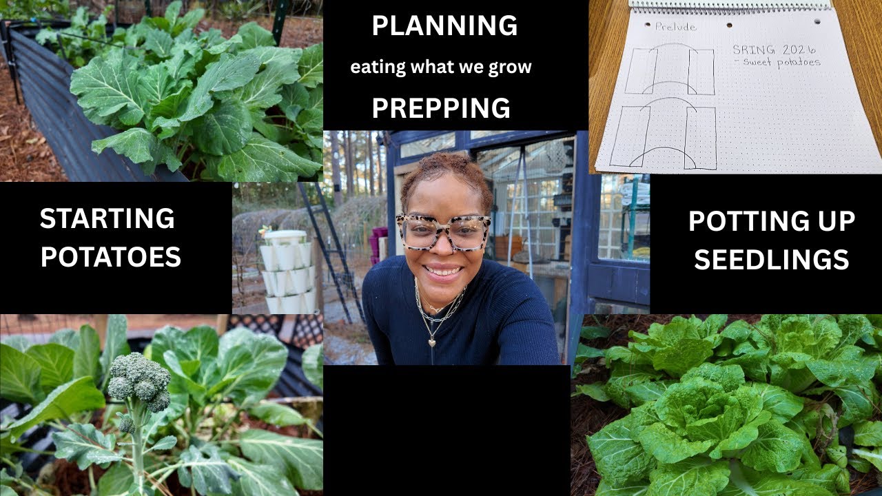 What im doing NOW for the spring garden!! BEGINNER GARDENER FRIENDLY