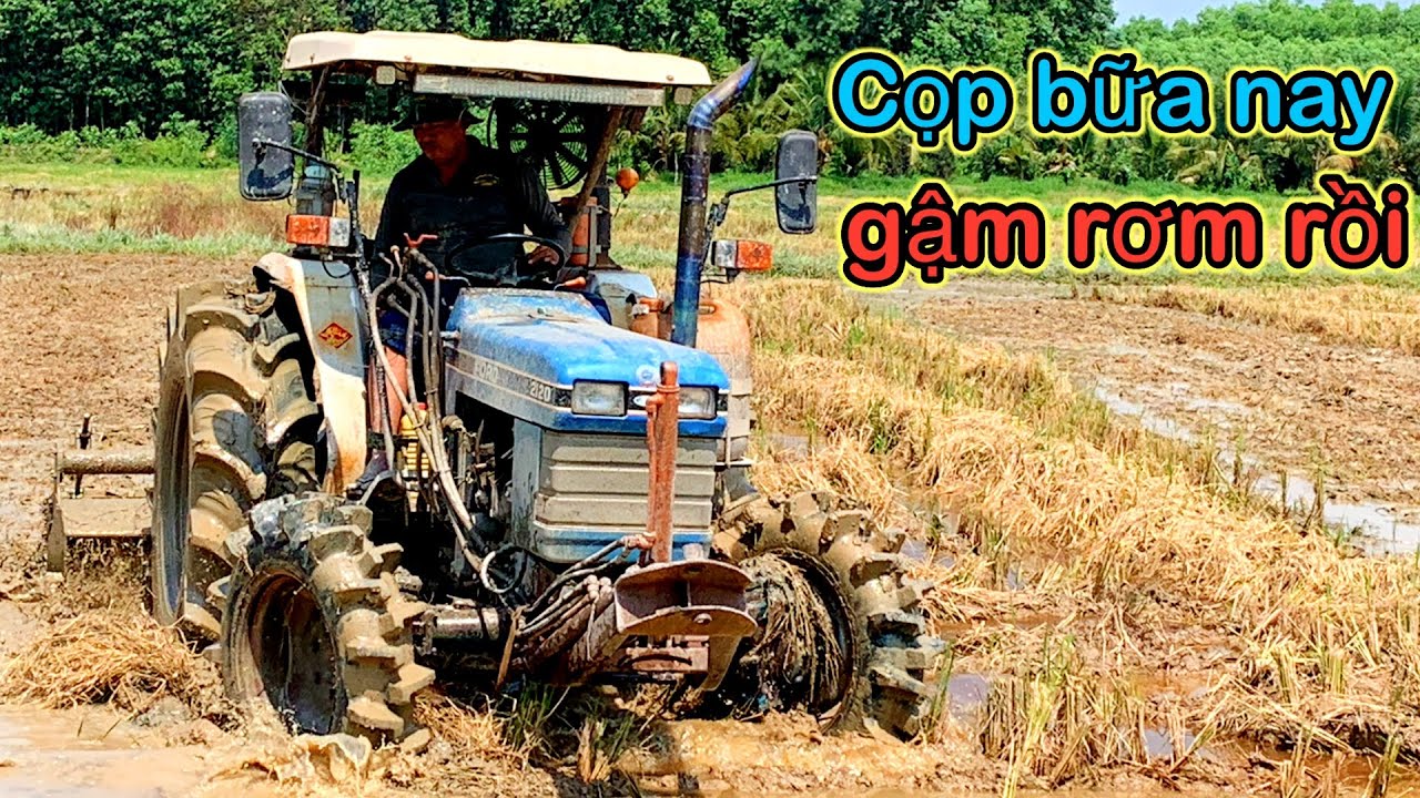 Foro bữa nay khởi công đi xới gặp ruộng còn rơm không .xã Tân an tỉnh đồng Nai 